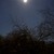 Image-square_50