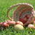 Image-square_50
