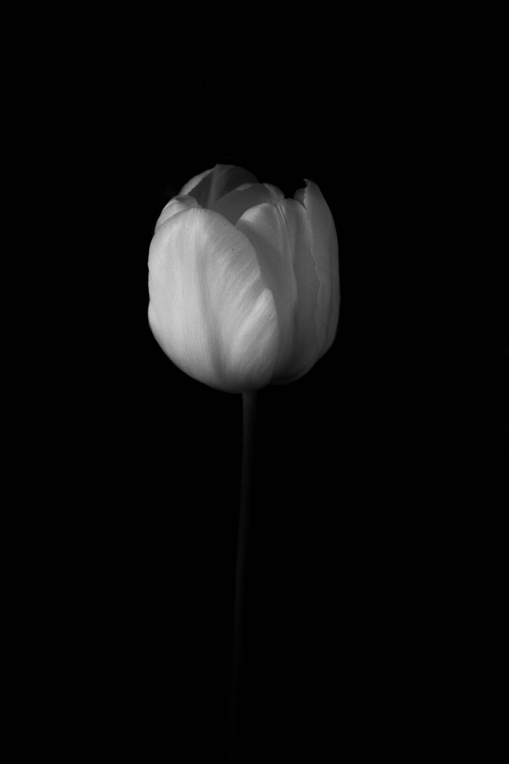 Image-normal