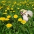 Image-square_50