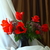 Image-square_50