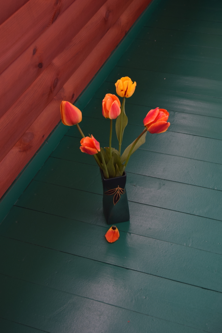 Image-normal