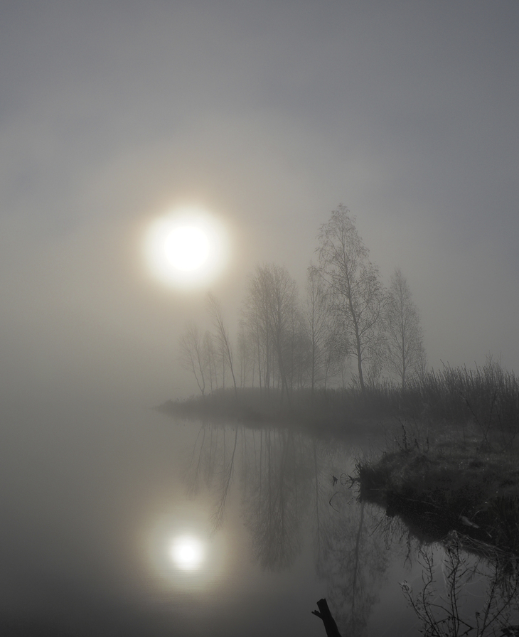 Image-normal