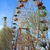 Image-square_50
