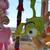 Image-square_50