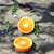 Image-square_50
