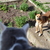 Image-square_50