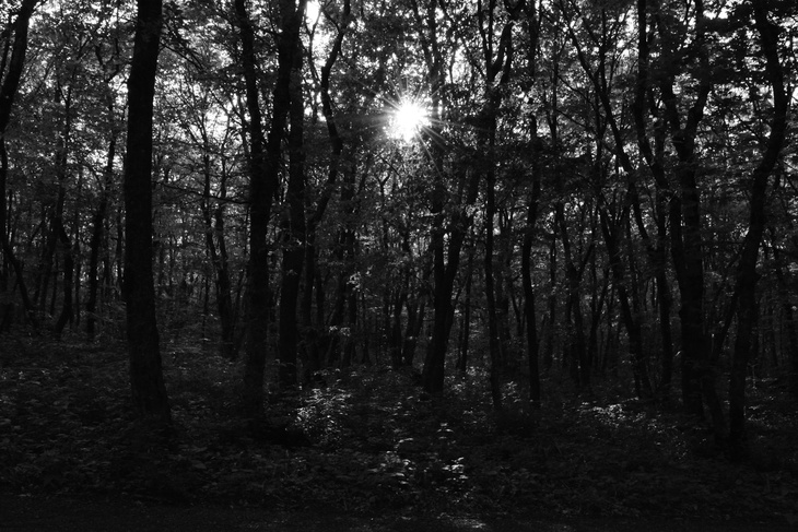 Image-normal