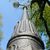 Image-square_50