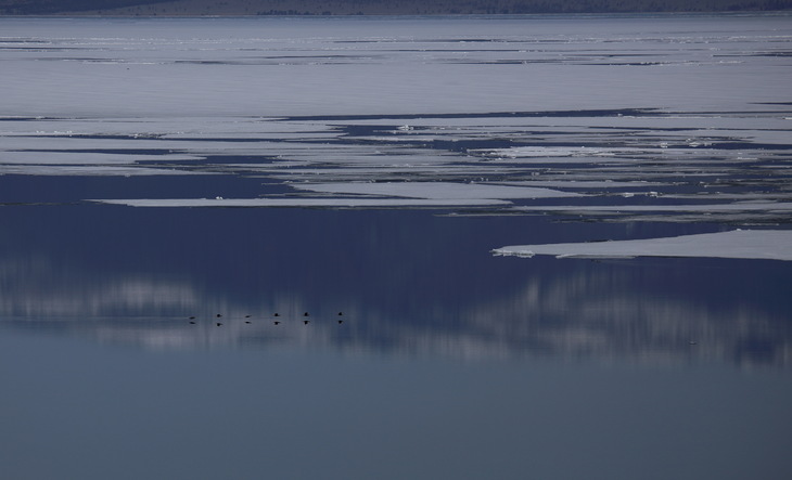 Image-normal