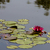 Image-square_50
