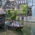 Image-square_50