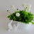 Image-square_50