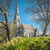 Image-square_50