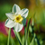 Image-square_50