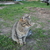 Image-square_50