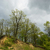 Image-square_50