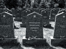 Image-rectangle_220_165