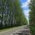 Image-square_50