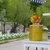 Image-square_50