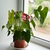 Image-square_50