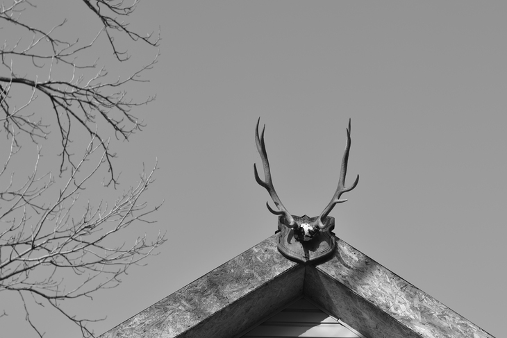 Image-normal