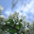 Image-square_50