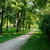 Image-square_50