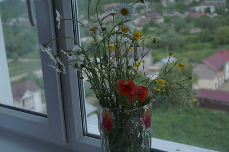Image-normal