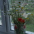 Image-square_50
