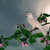 Image-square_50