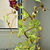 Image-square_50