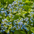 Image-square_50