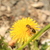 Image-square_50