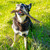 Image-square_50