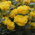 Image-square_50
