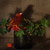 Image-square_50
