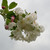 Image-square_50