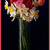 Image-square_50