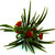 Image-square_50