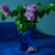 Image-square_50