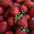 Image-square_50