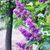 Image-square_50