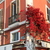 Image-square_50