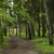 Image-square_50