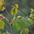 Image-square_50