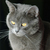 Image-square_50