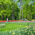 Image-square_50