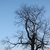 Image-square_50