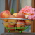 Image-square_50